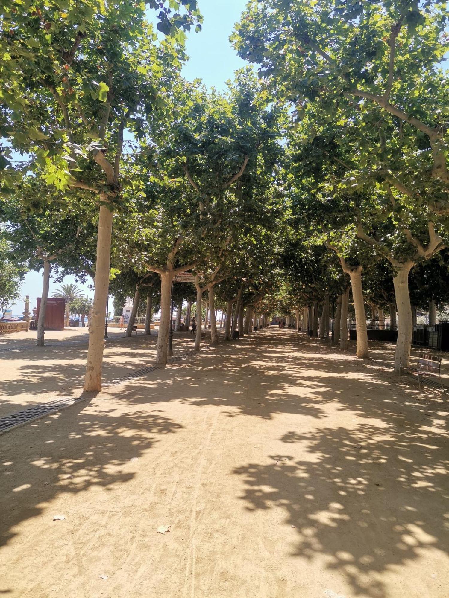 Apartamento Centrico En كاليليا المظهر الخارجي الصورة